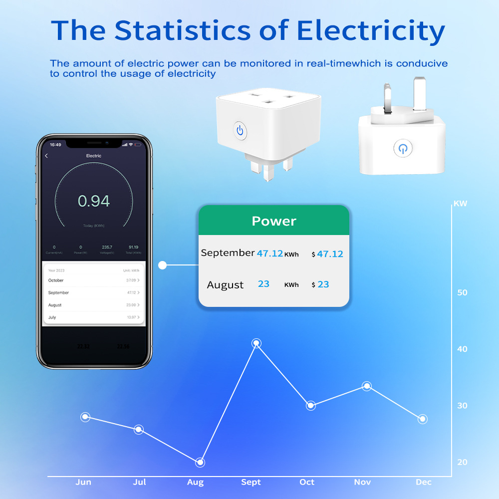 Tuya 스마트 소켓 16A/20A WiFi 또는 Zi - Smart Home Zigbee Gateway 리뷰 및 가격