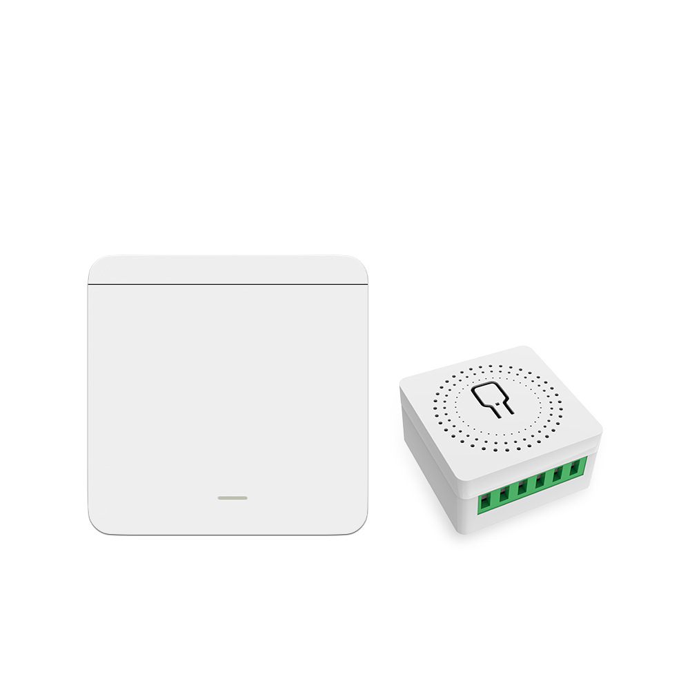 투야 와이파이 스마트 조명 스위치 스마트 홈 무선 RF - Tuya Wifi Socket 리뷰 및 가격
